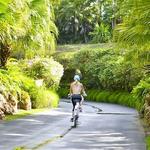 Rockefeller Nature Trail