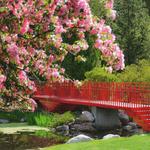 Dow Gardens
