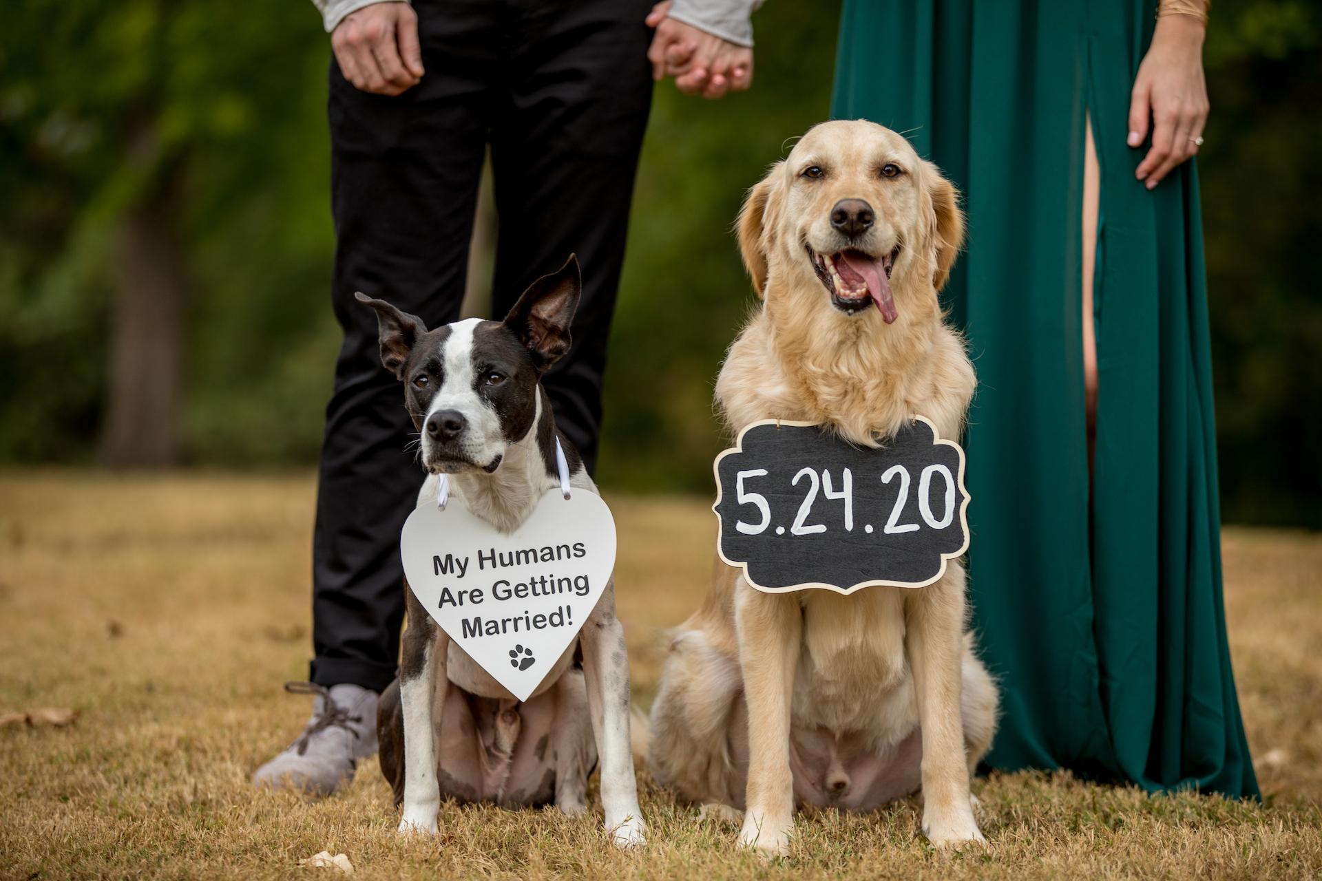 The Wedding Website of Meghan Calvaruso and Ross Sefton