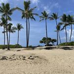 Kukio “keiki” beach