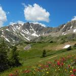 Herman Gulch Trail