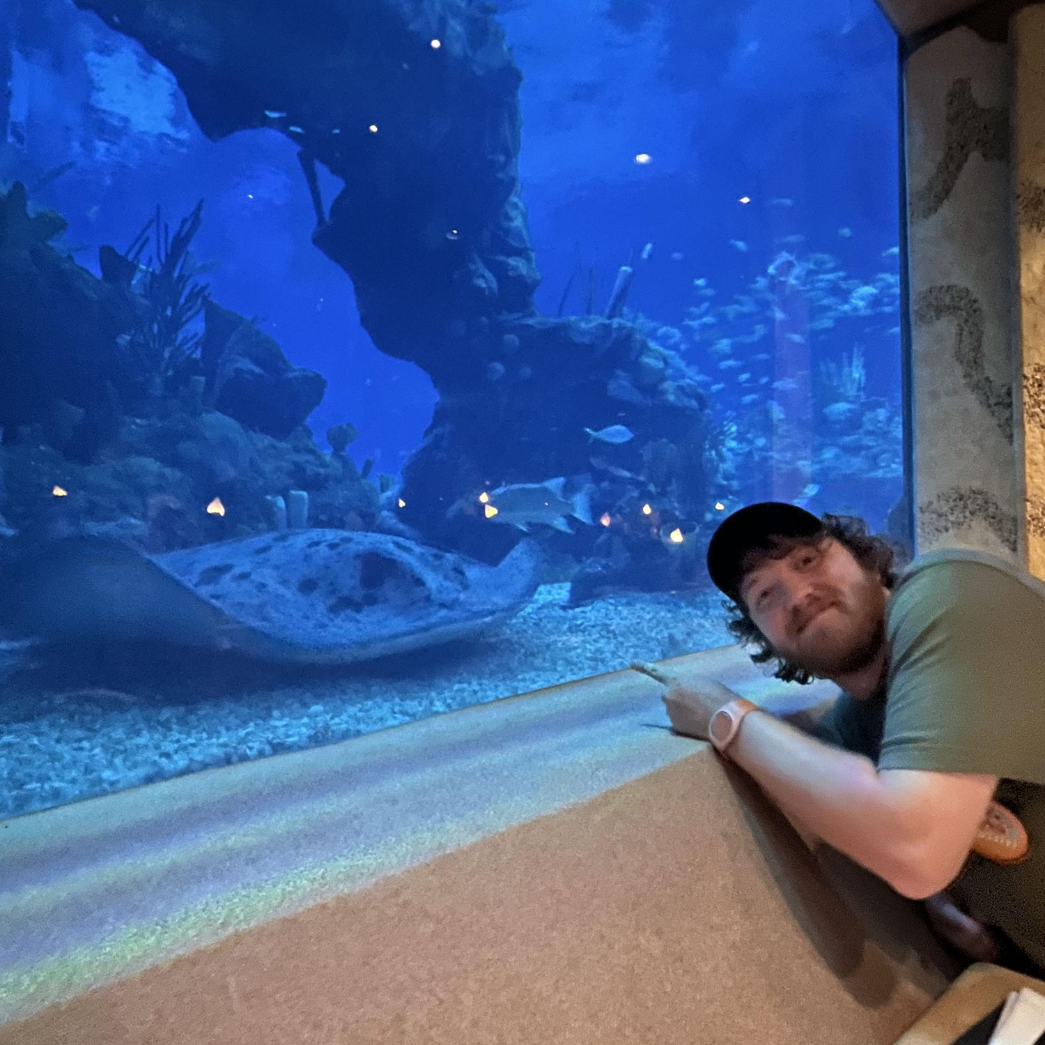 Our favorite marine friend