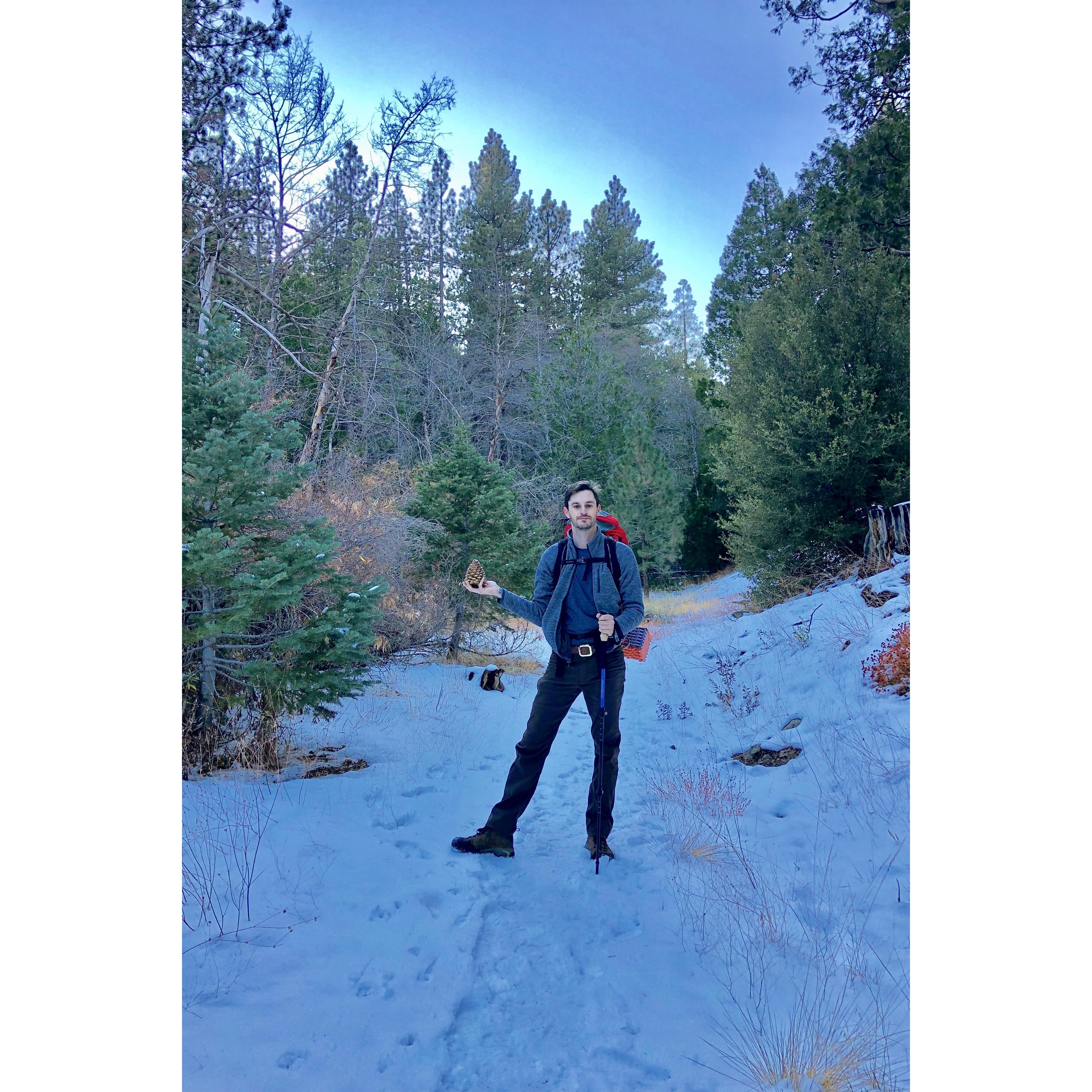 Angeles Crest Forest, CA. 2019.