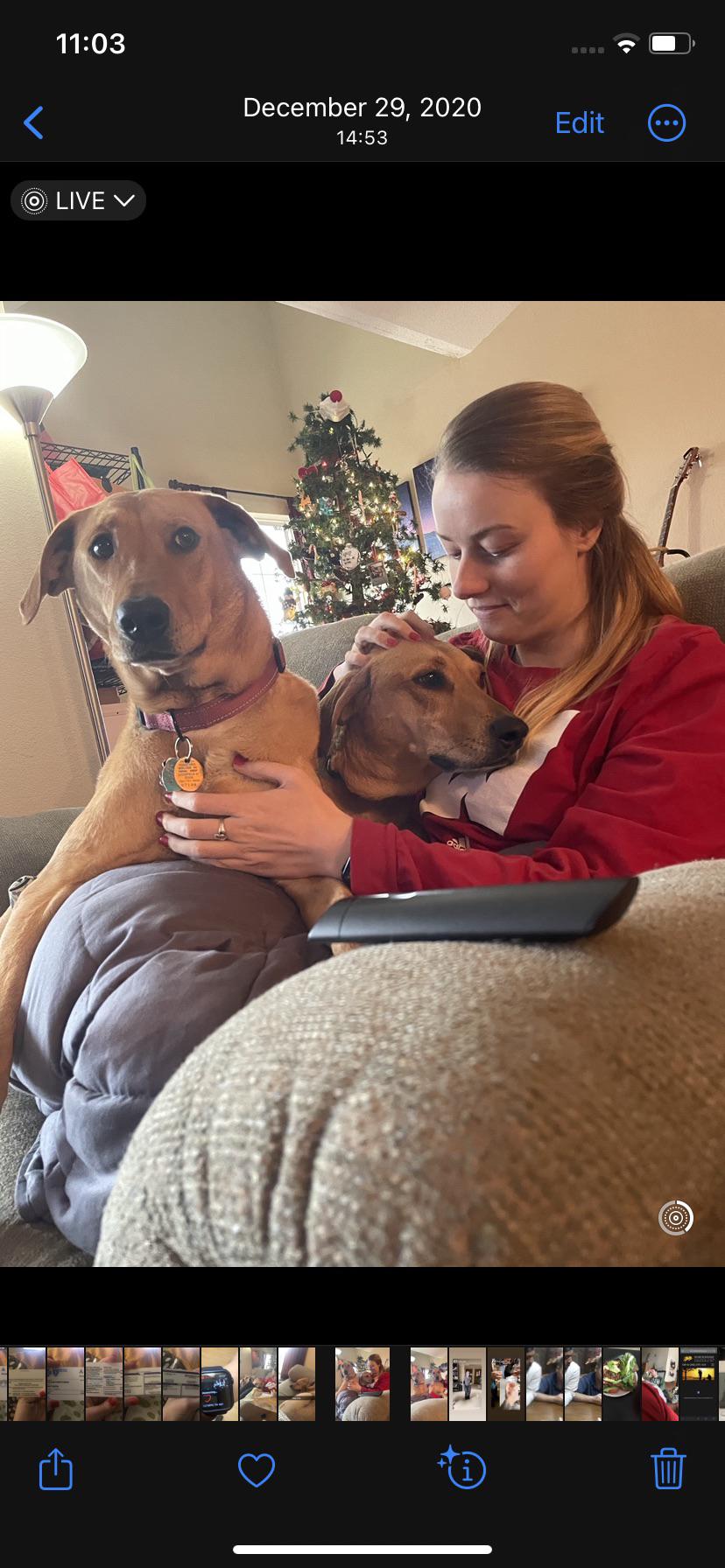 Molly and Carys together forever… or at least for this photo 🤣