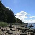 Garvies Point Museum & Preserve
