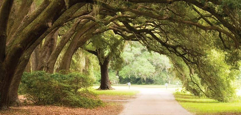 The Wedding Website of Jessie Hatcher and Ross Marnock