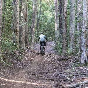 Lana'i E-Bike Adventure