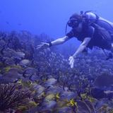 Wet Set Diving and Snorkeling Adventures Scuba Shop