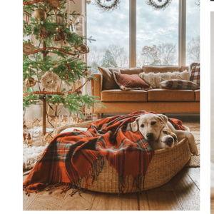 Design Dua "Brothers" Dog Bed - Large w/Cushion (40" x 30")
