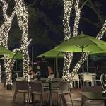 The Grove Wine Bar & Kitchen - Cedar Park