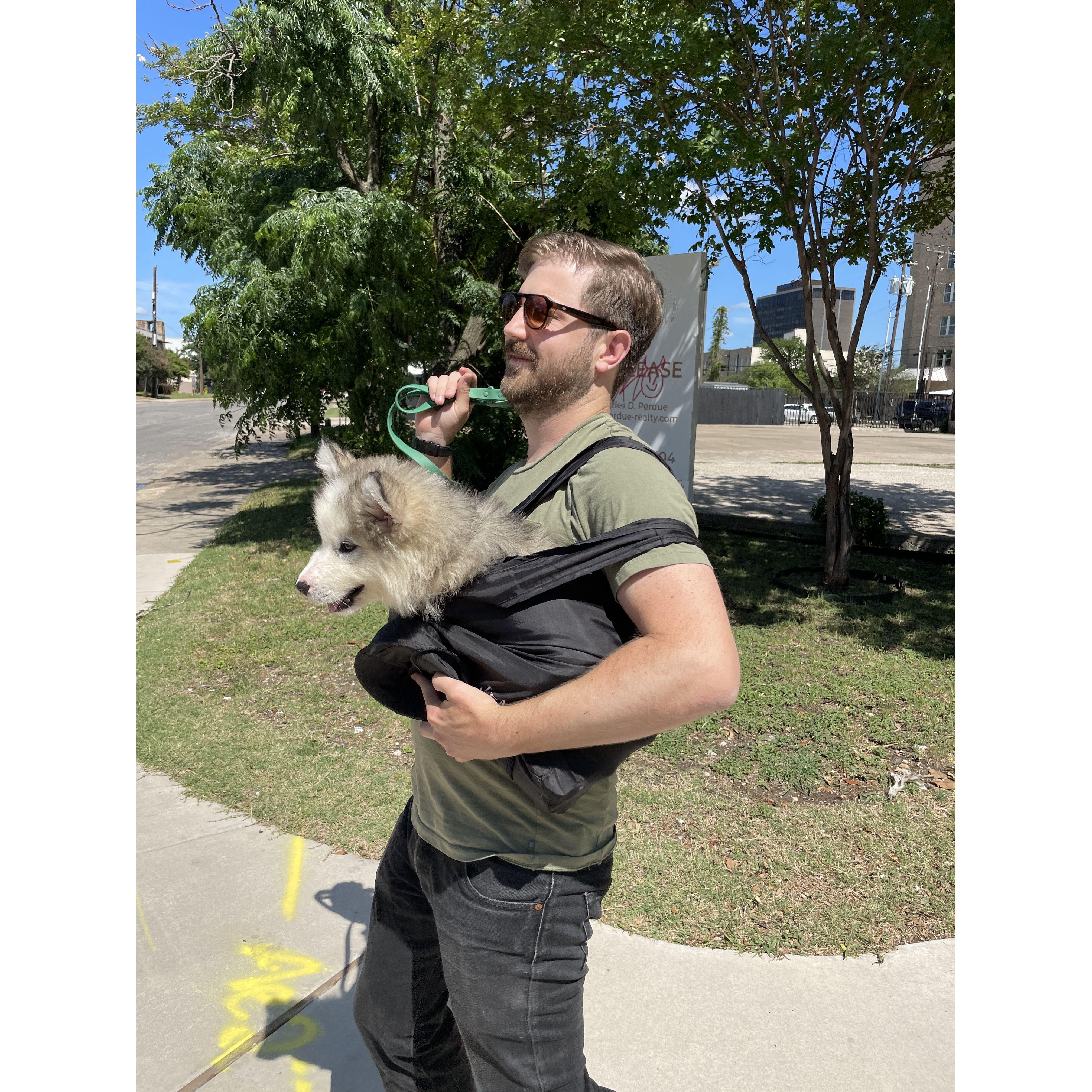 Shopping in Bishop Arts with a purse dog