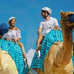 For Excursions- Book with Mina via Destination Weddings Website