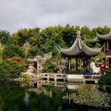 Lan Su Chinese Garden