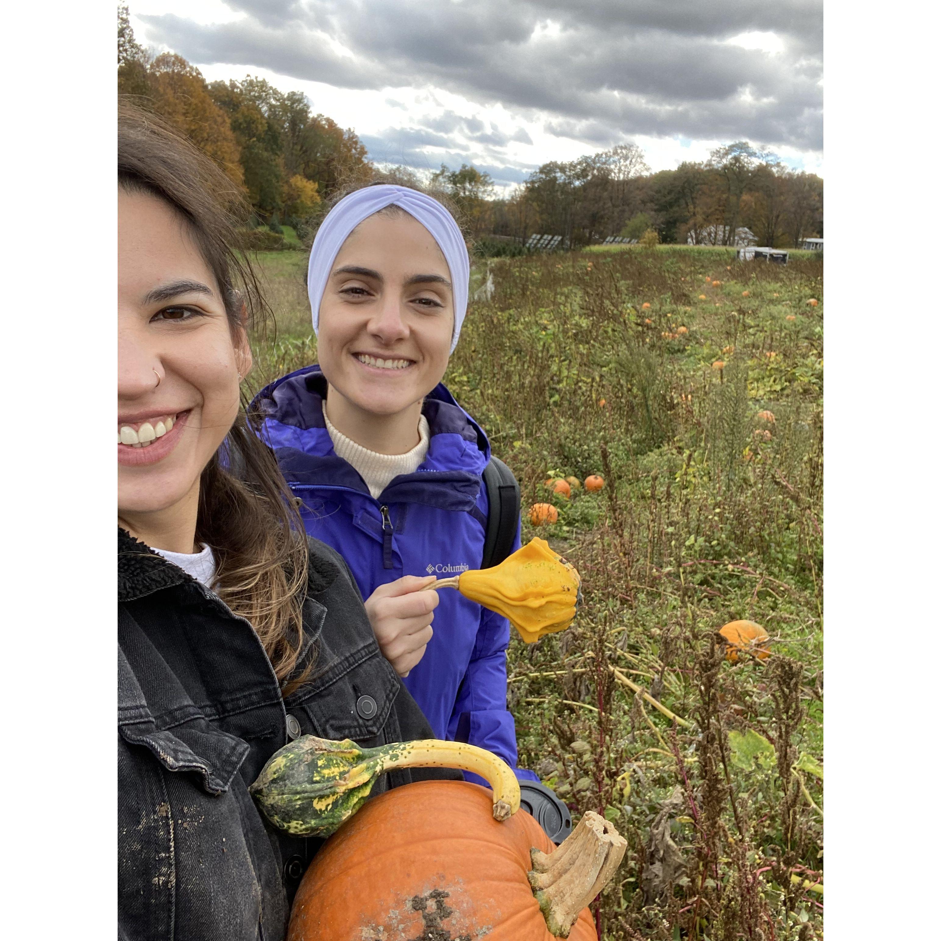 Olivia's first pumpkin picking