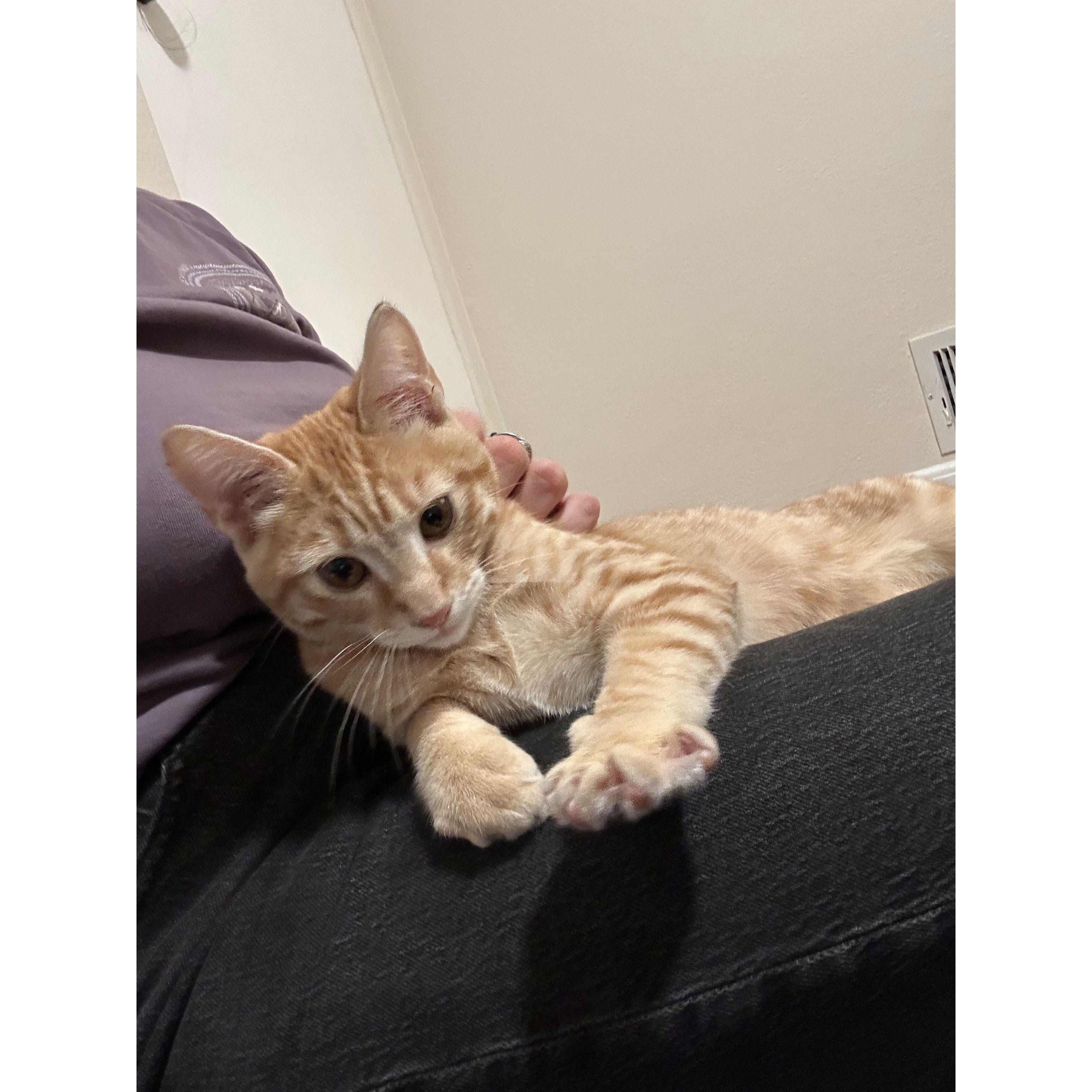 Welcome home Crouton, October 2023
