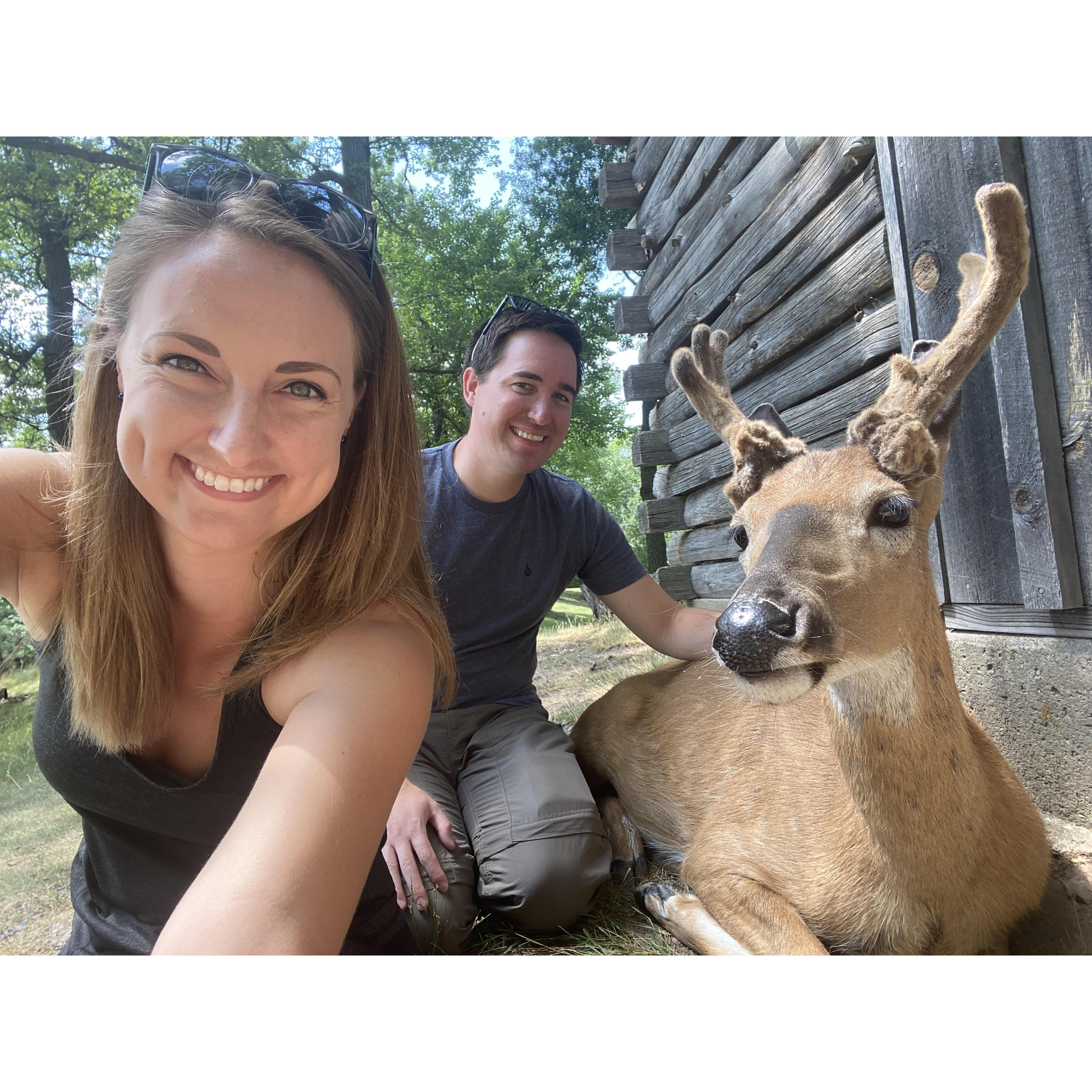 Fawn-Doe-Rosa - 07/2021
