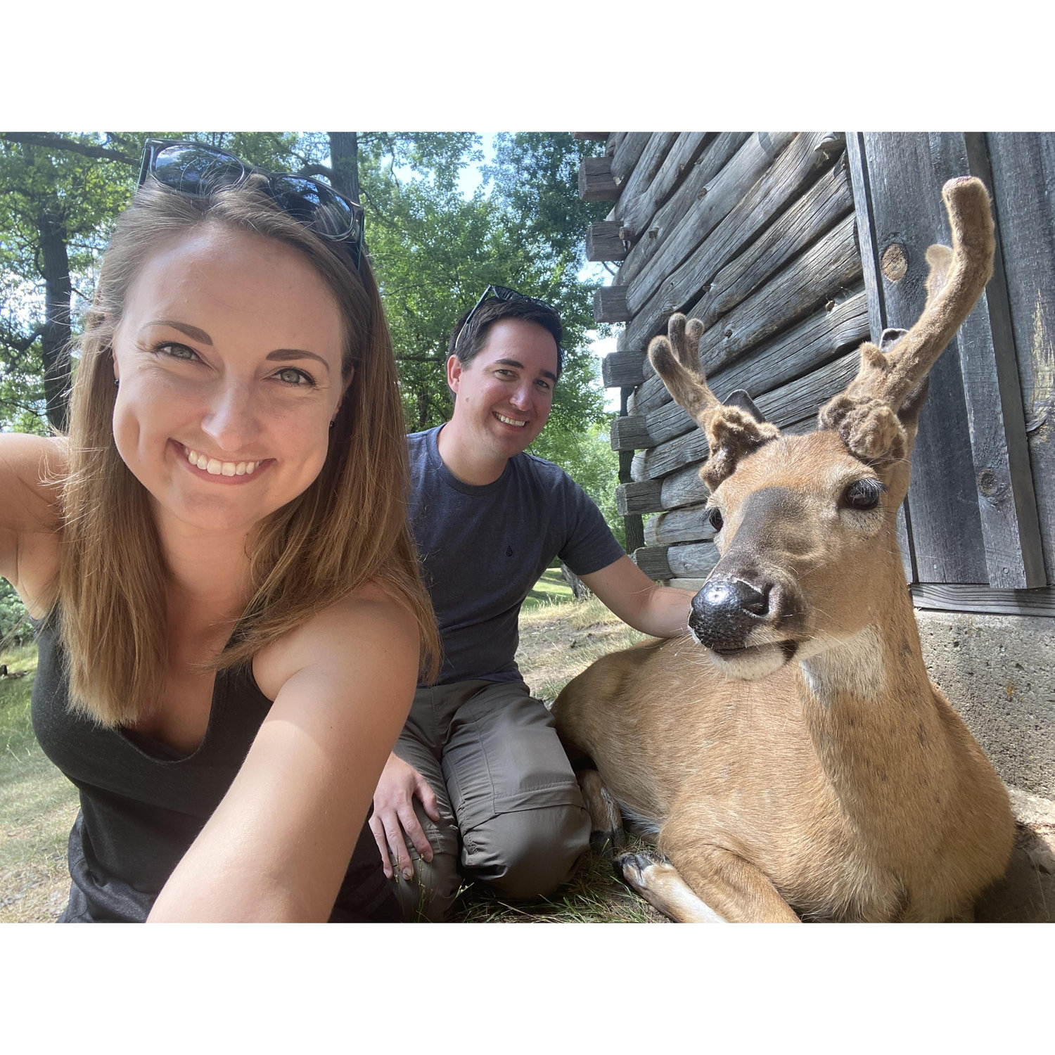 Fawn-Doe-Rosa - 07/2021