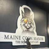 Maine Coon Manor Cat Cafe