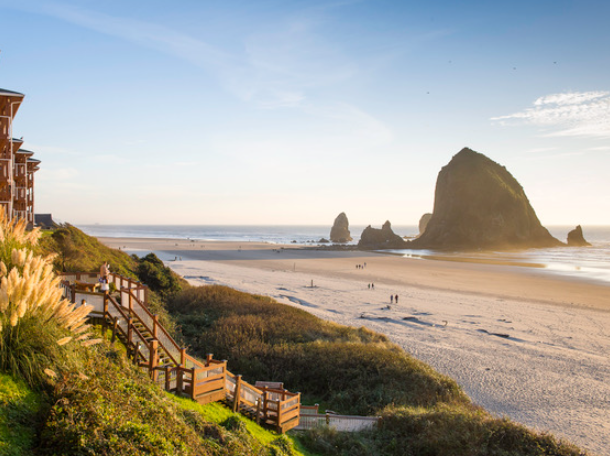 The Wedding Website of Jaimi Martin and Michael Nicholas