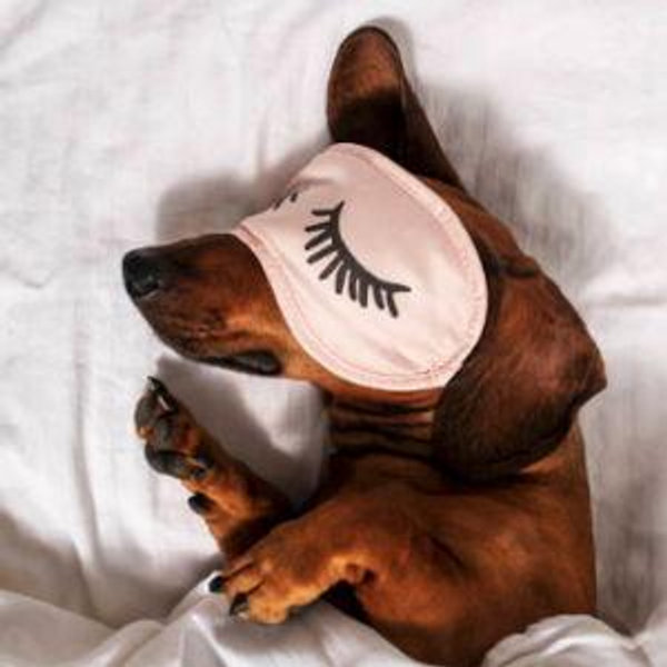 mattress/bedfund