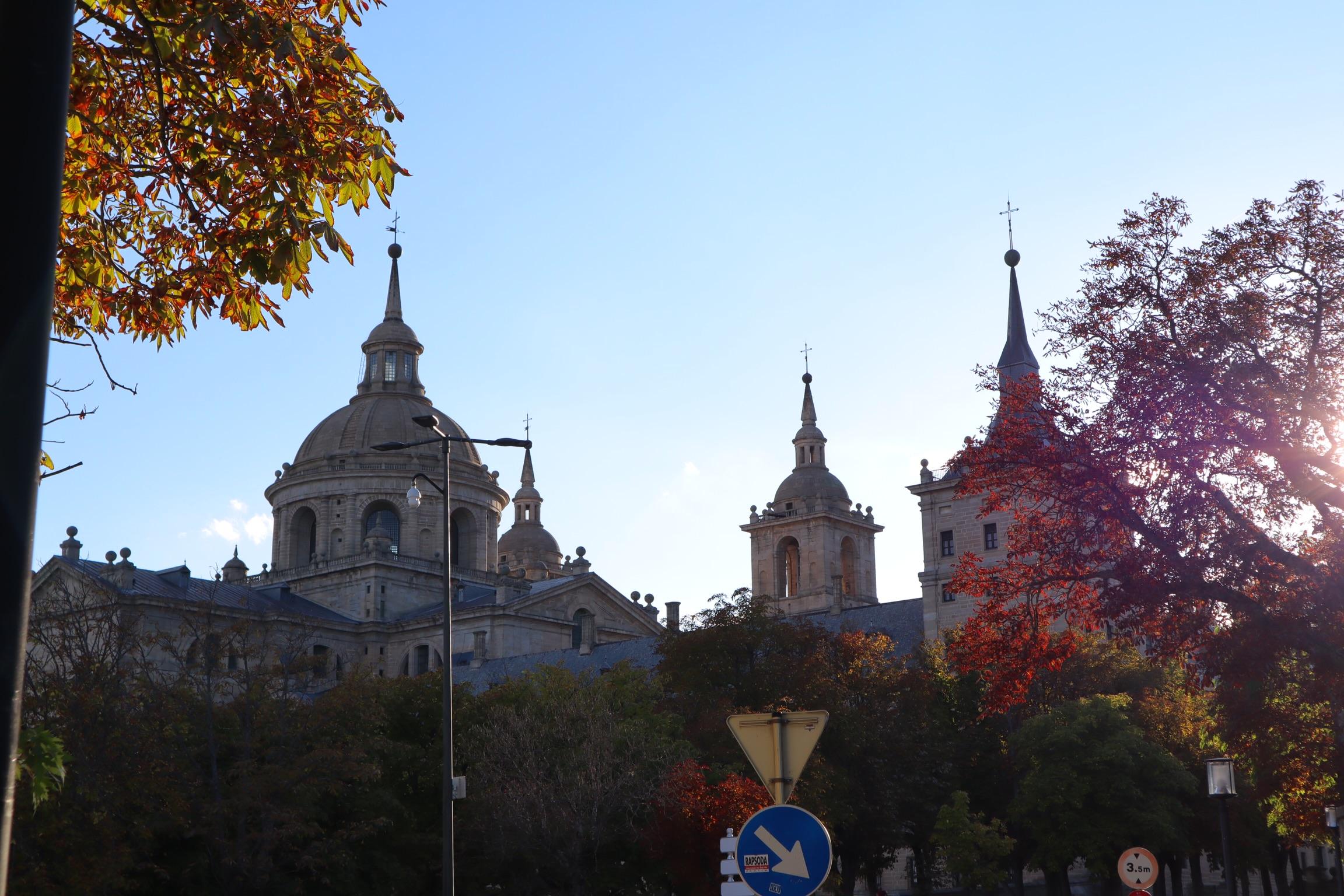 The Wedding Website of Thaïs Diaz and Sam Bonnie