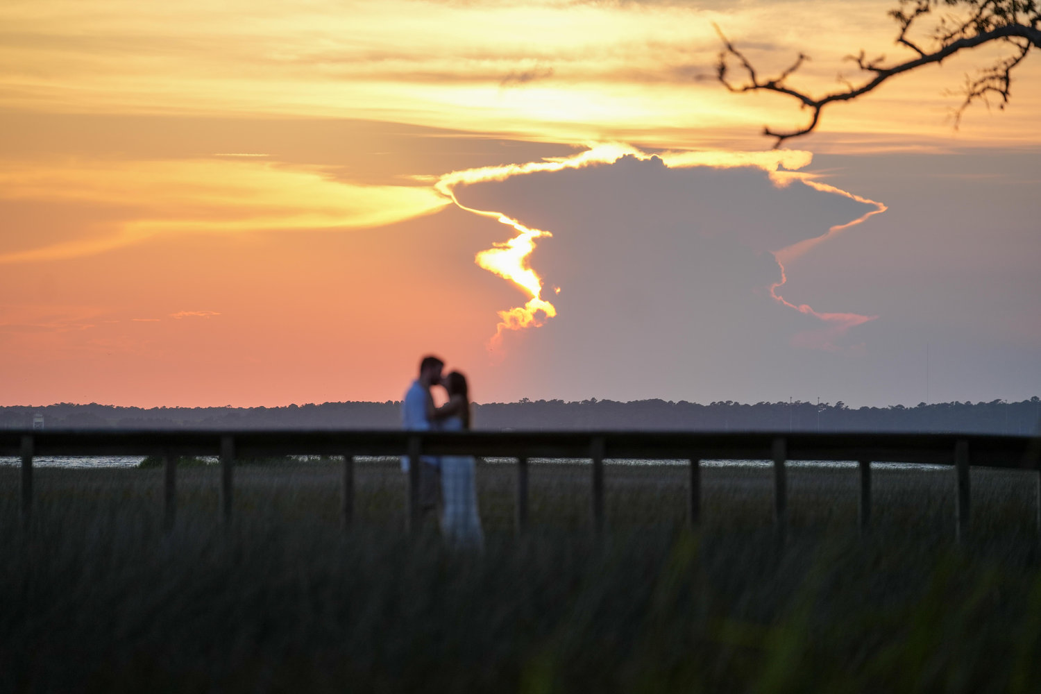 The Wedding Website of Sierra Stenzler and Austyn Joyce
