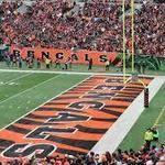 The Cincinnati Bengals