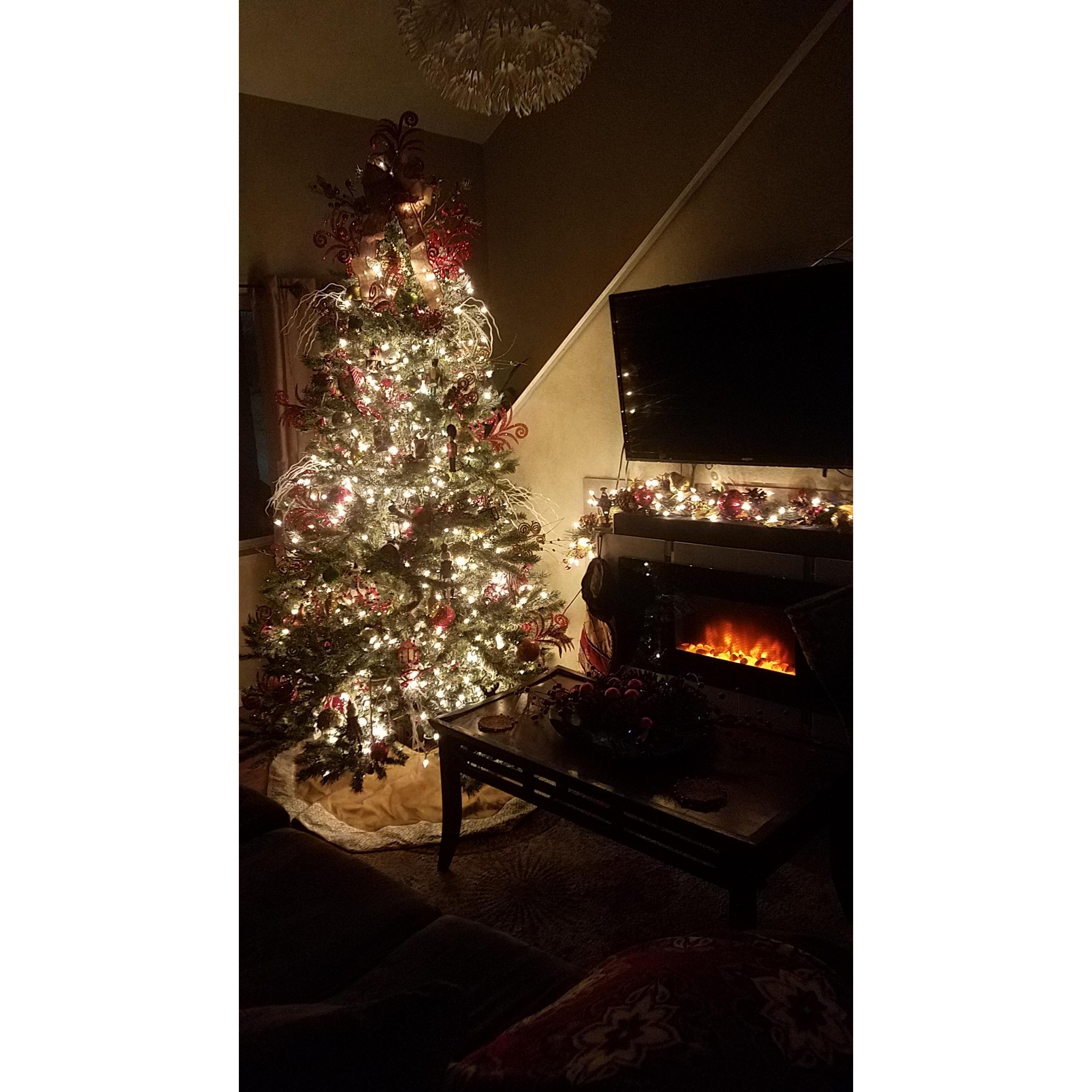 Our first Christmas tree!