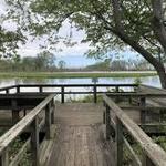 Sheldon Marsh State Nature Preserve