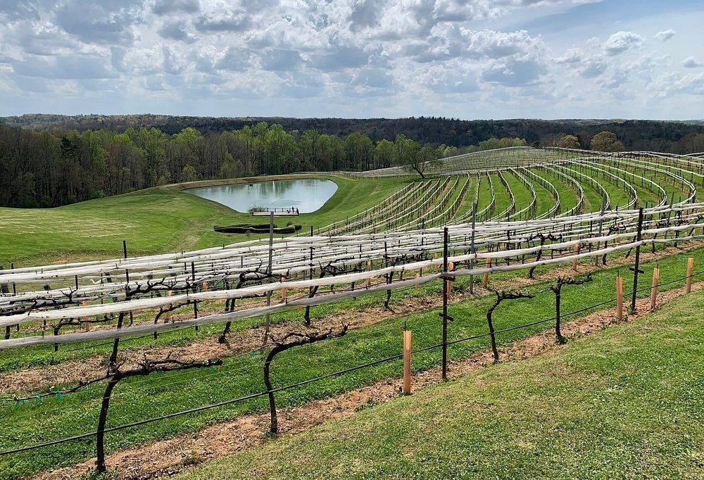 The Wedding Website of Patti Reed and Tom Wilson