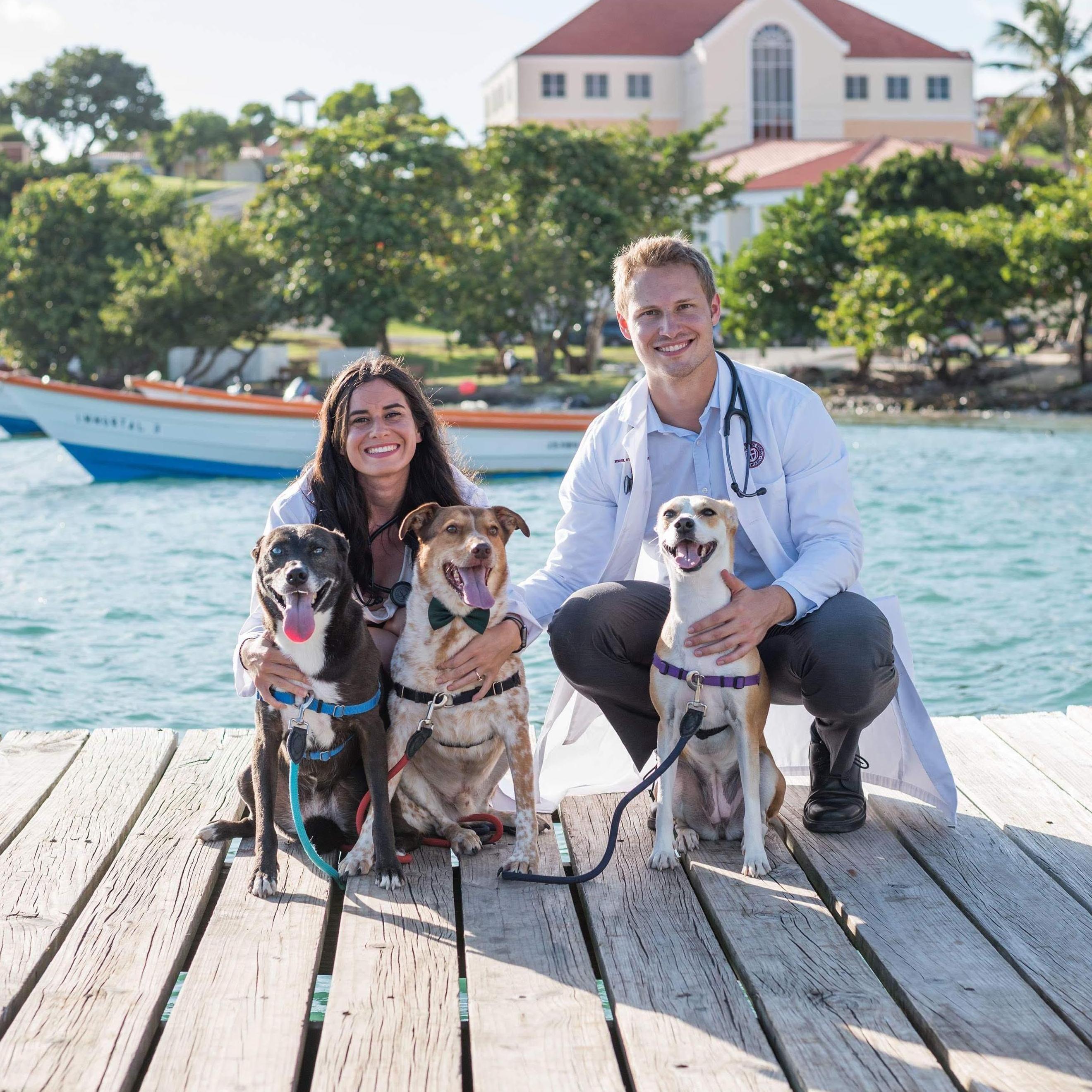Doctors and pooches