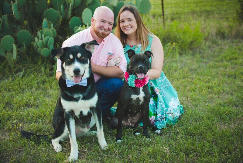 f9ca097d-da19-4cae-bd10-eaee3a564729