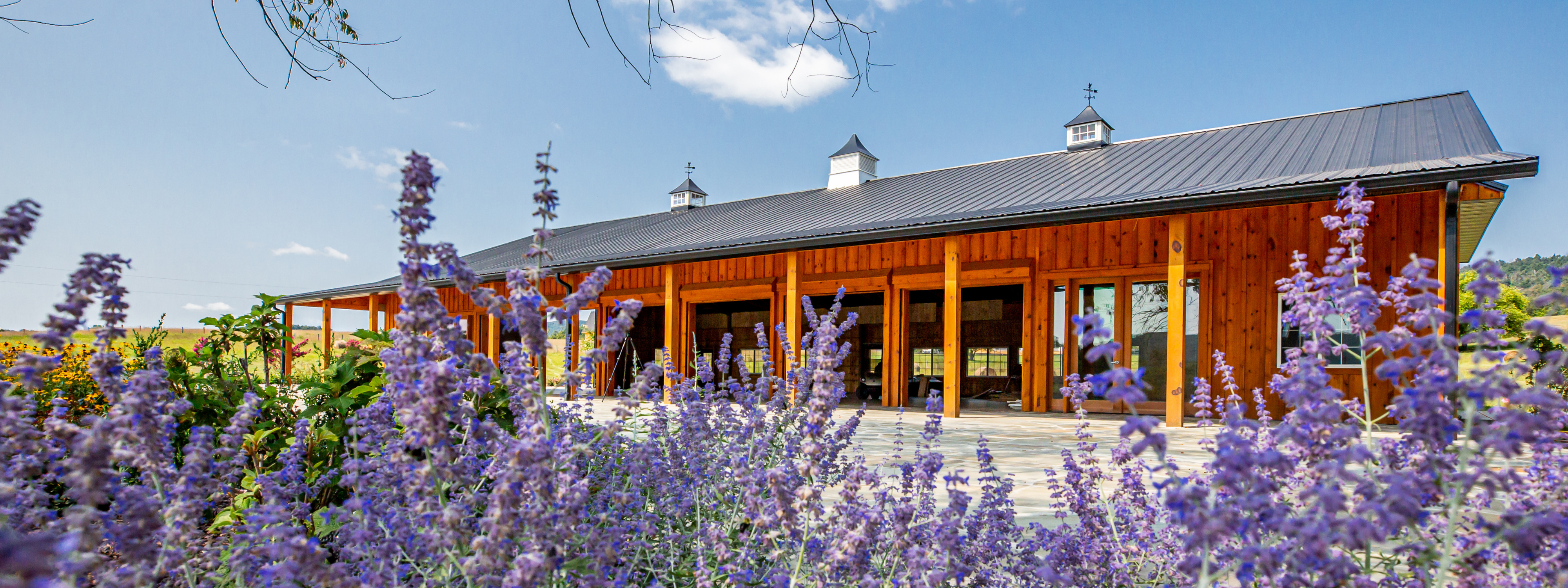 The Wedding Website of Brooke Hollabaugh and Andy Stjernström