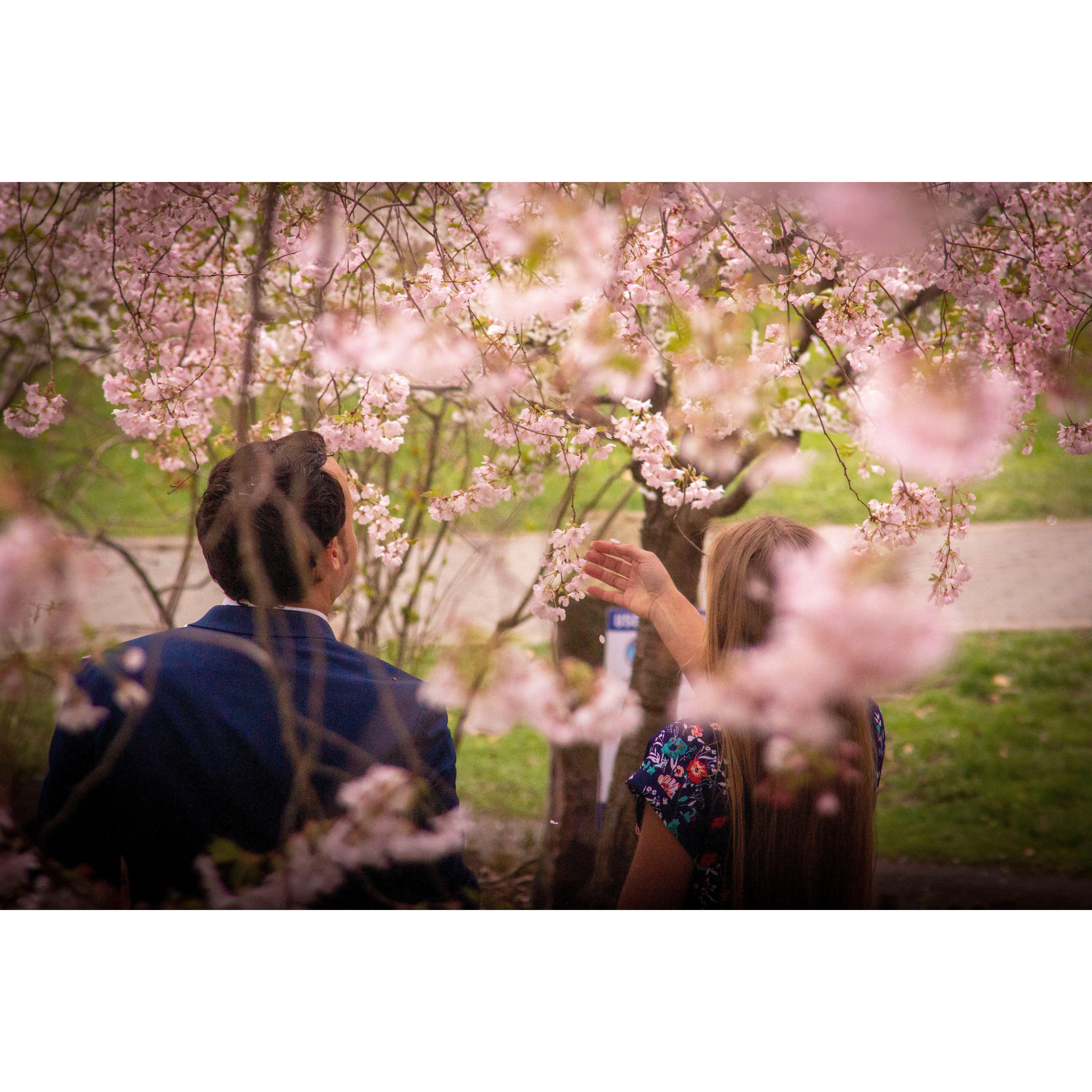 Engagement shoot