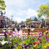 Pearl Street Mall