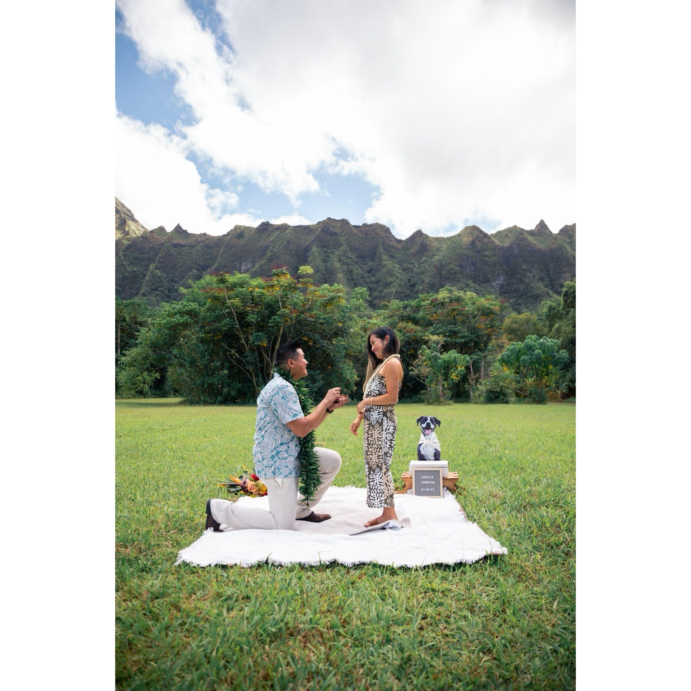 Ho'omaluhia, Kaneohe, HI - 2023