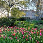 Cheekwood