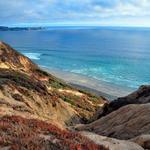 Blacks Beach Trailhead