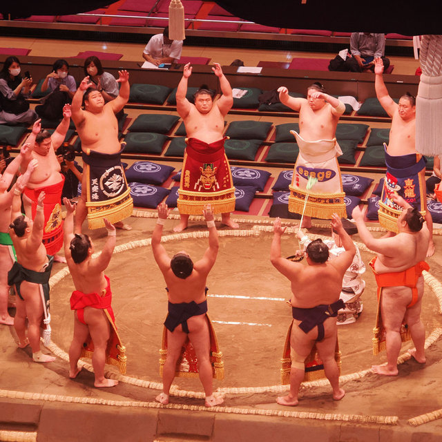 Sumo wrestling match for 2