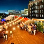 The Velvet Hippo Bar & Lounge