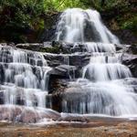 Laurel Falls Trail