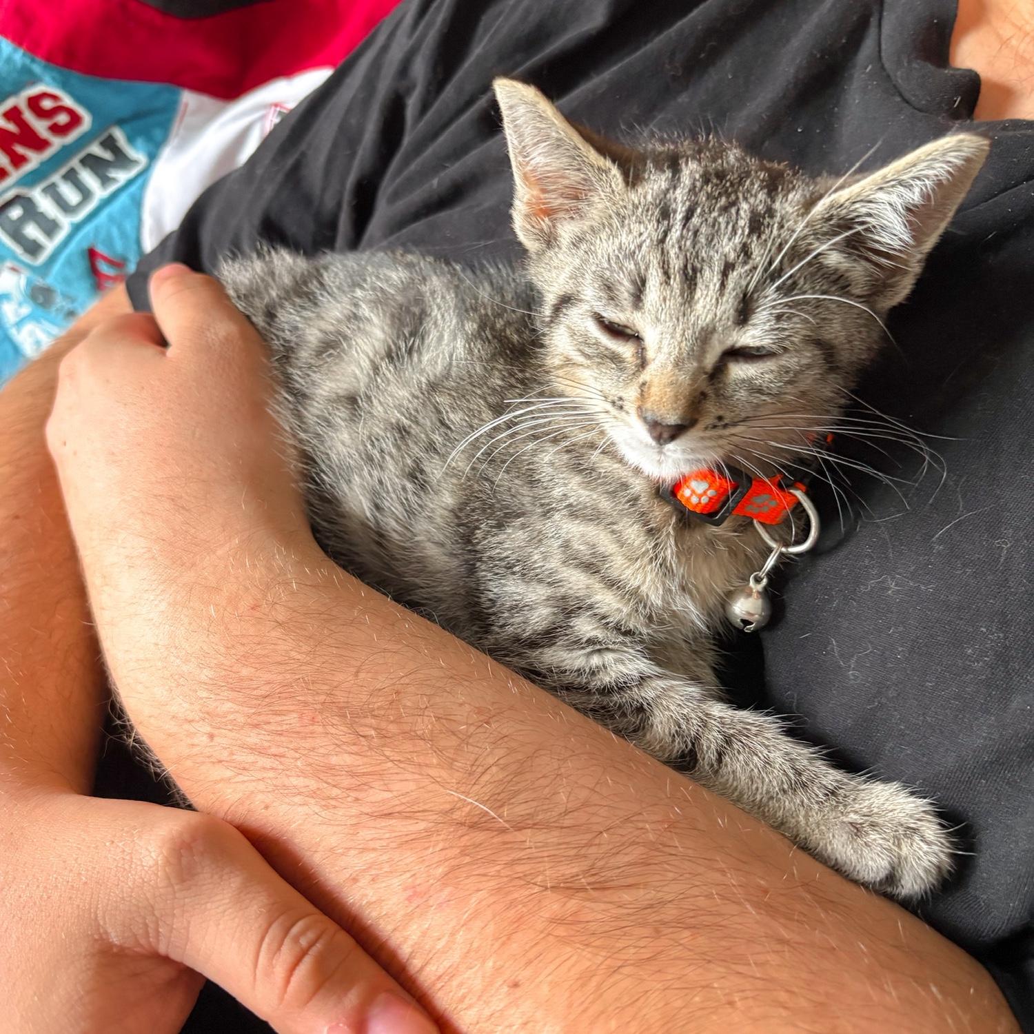 The day we adopted Finn! 10.18.2025