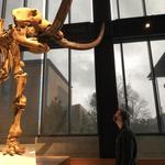 Burke Museum of Natural History and Culture