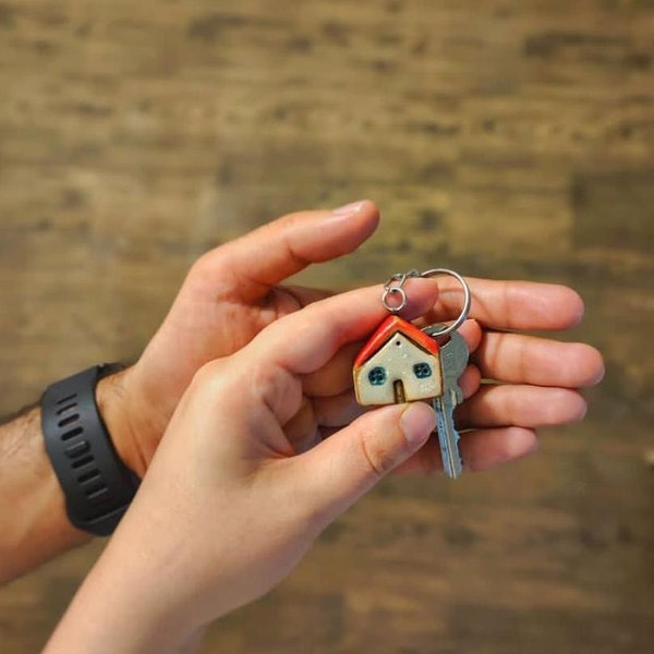 Home Renovation & Repairs