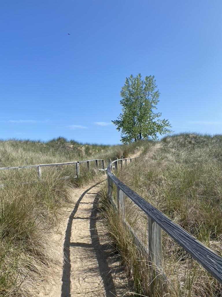 The Wedding Website of Bridget Cuneo and David Weigel