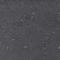 Seed Grey