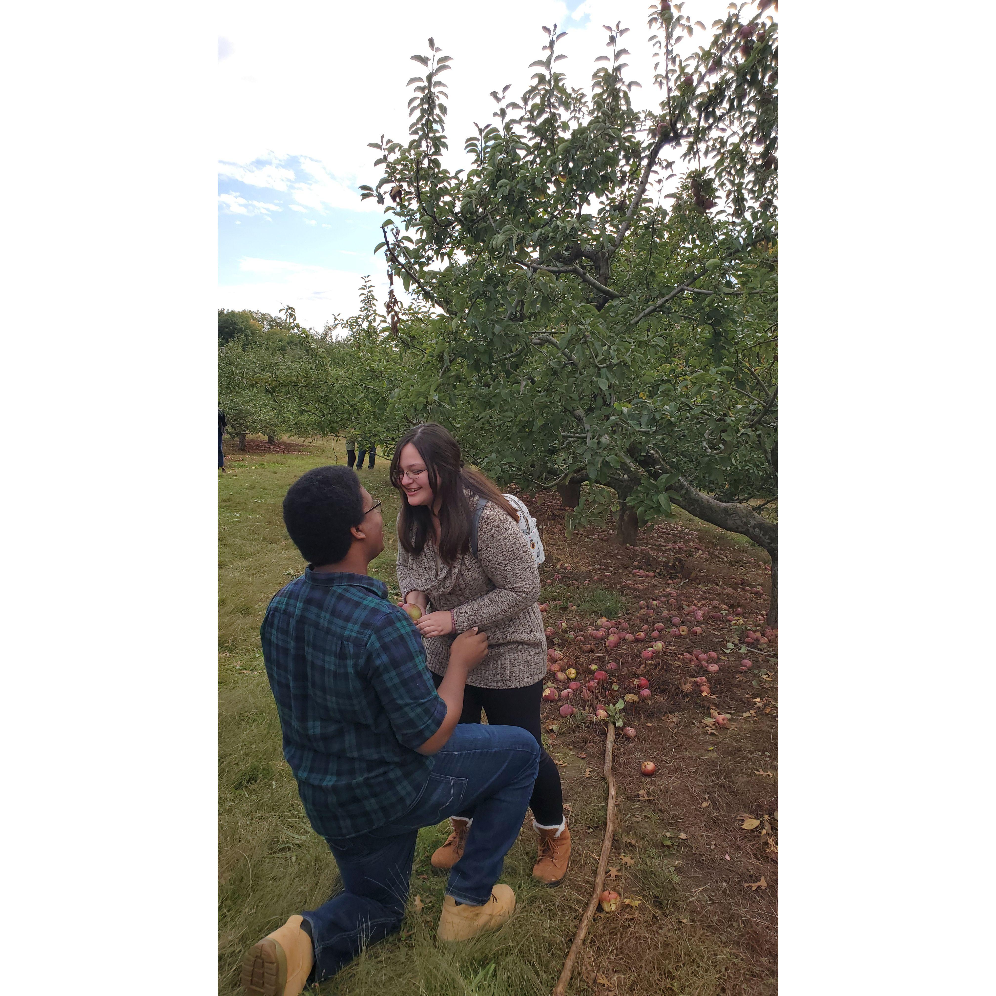 She said YES!