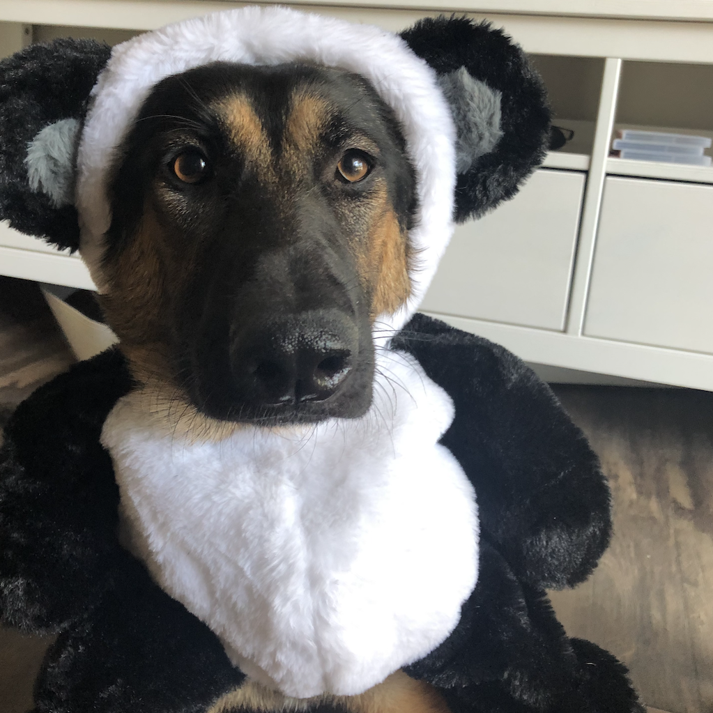 Ruth makes a very good panda impression!
