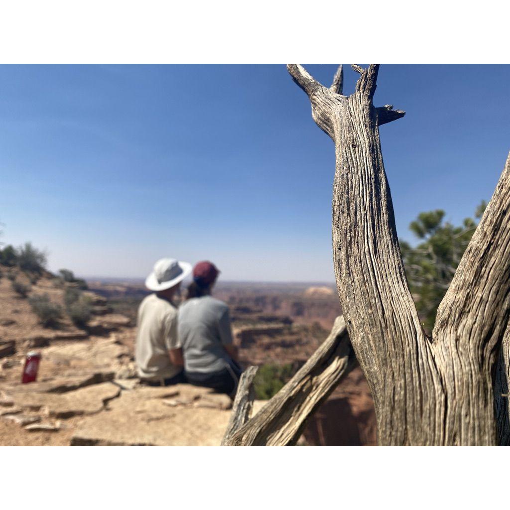 We tried to take a cute picture but the camera focused on the branch instead