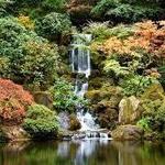 Portland Japanese Garden